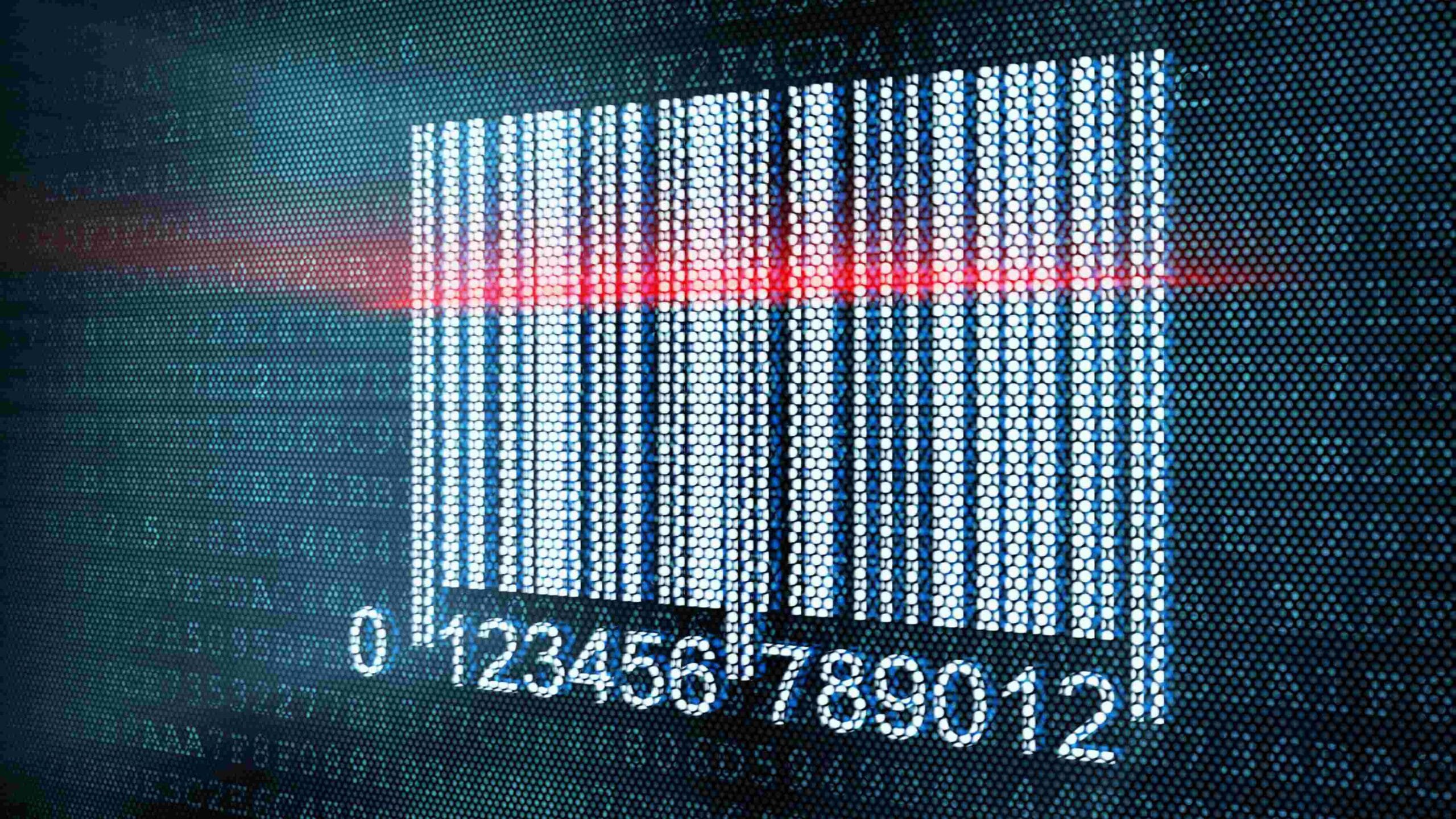 Dal Magazzino al Successo: Rivoluzione Emozionale con Softshop"